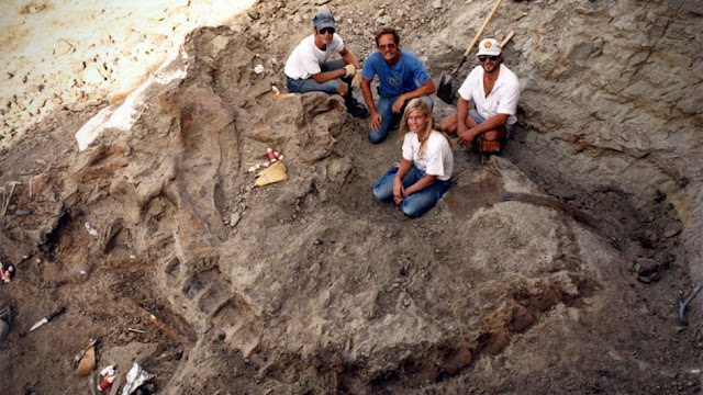 «Динозавр 13» следует за драматическим путешествием скелета T-rex после того, как он был обнаружен палеонтологами в начале 1990-х (CNN Films)