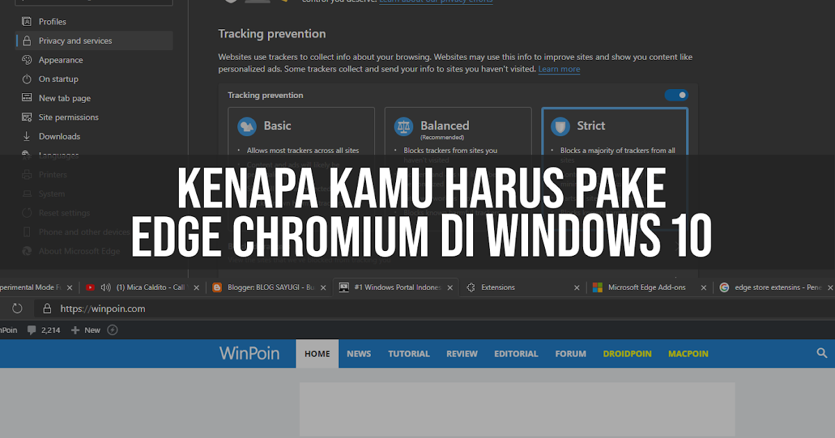 Kenapa Pengguna Windows 10 Harus Pake Edge Chromium! - BLOG SAYUGI