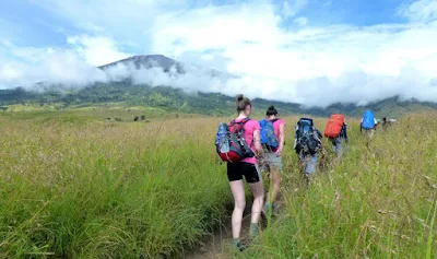 Starting point from Sembalun Lawang, we are greeted by the Savana along 6 kilometers