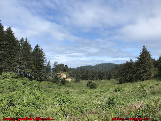 Oregon Elk Flats Trail 