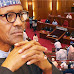 There Is Nothing Like Grazing Route Law In The Constitution, Nigerian Senate Spokesman Counters Buhari
