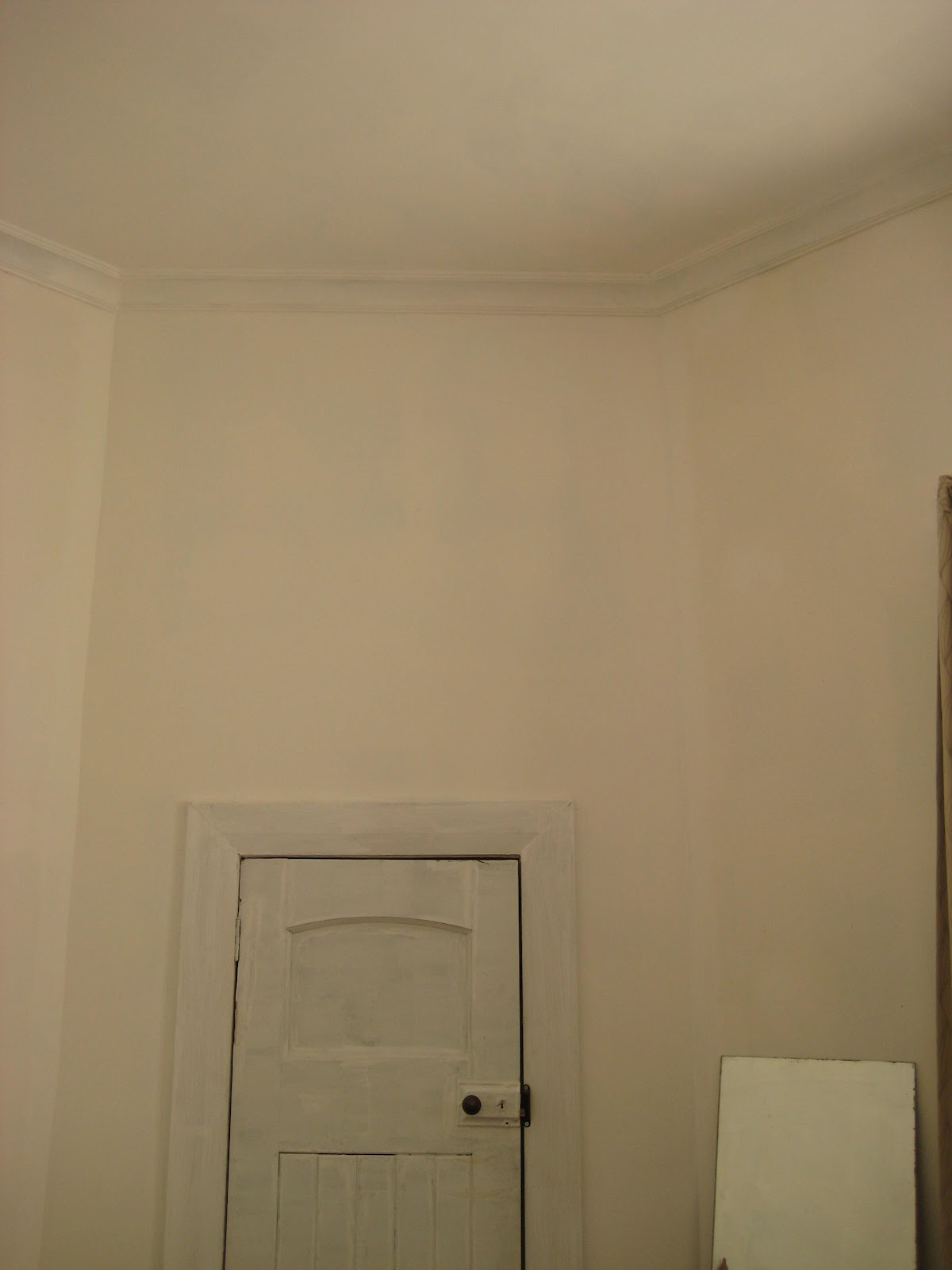 Jo and Steve renovate Ceiling Gibbing, Plastering and Painting