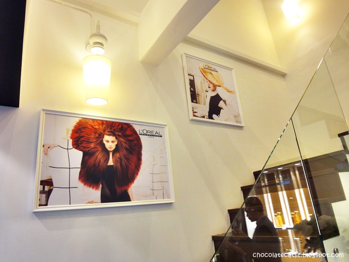 Chocolate Cats L'Oréal Professionnel La Maison Shawn Cutler Salon