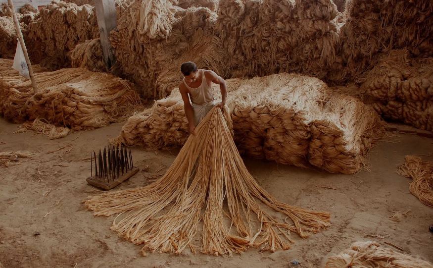 Batch and batching of Jute Textile Apex