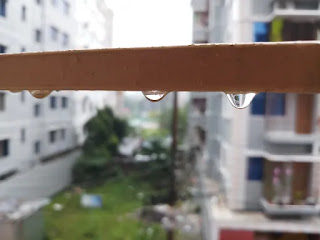 Raindrops images Raindrops images