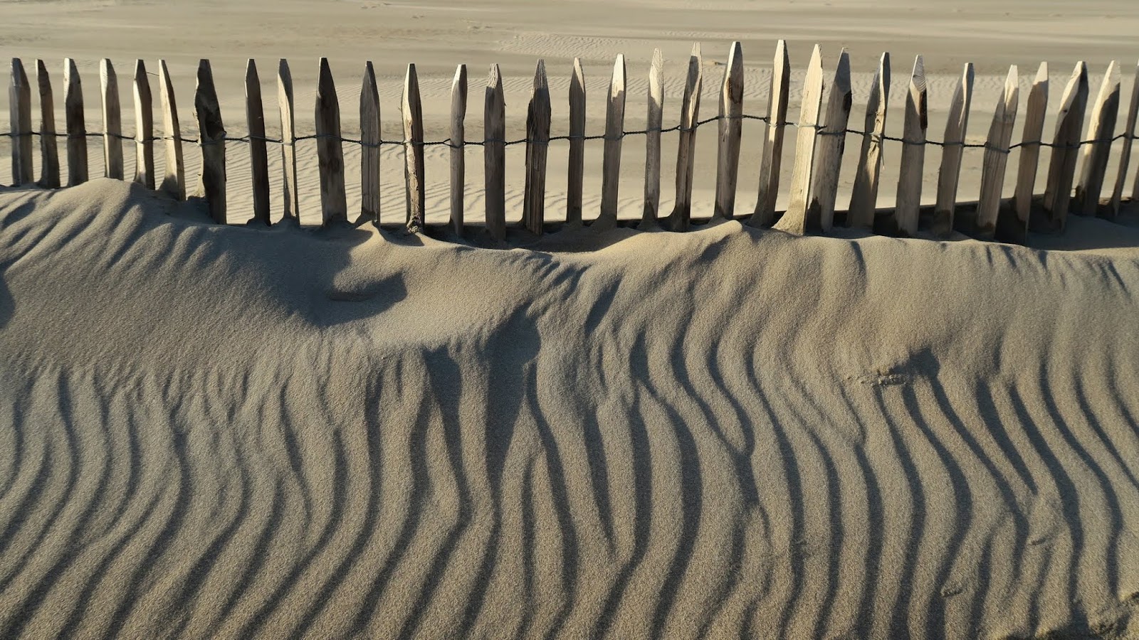Zwitserw Katwijk When it's windy at the beach