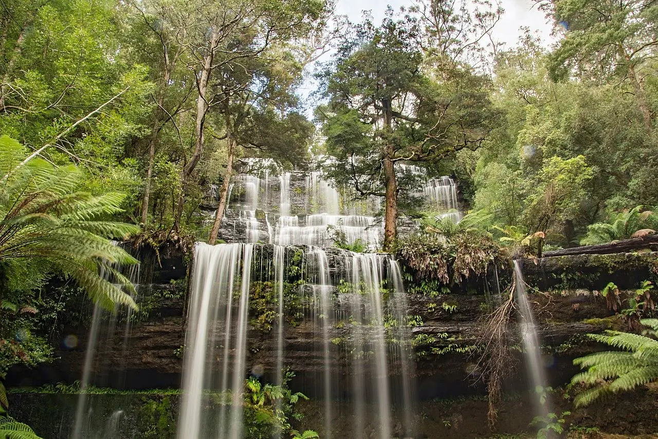 塔斯馬尼亞-塔斯馬尼亞景點-推薦-費爾德國家公園-羅素瀑布-塔斯馬尼亞自由行景點-塔斯馬尼亞旅遊景點-澳洲-Tasmania-Tourist-Attraction-Russell-Falls-Mount-Field-National-Park-Travel-destination