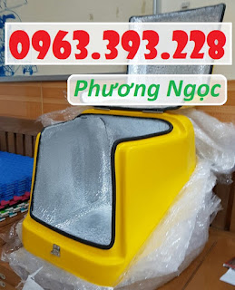 Thùng giao hàng loại nhỏ, thùng chở hàng sau xe máy 130d94c1920e7050291f