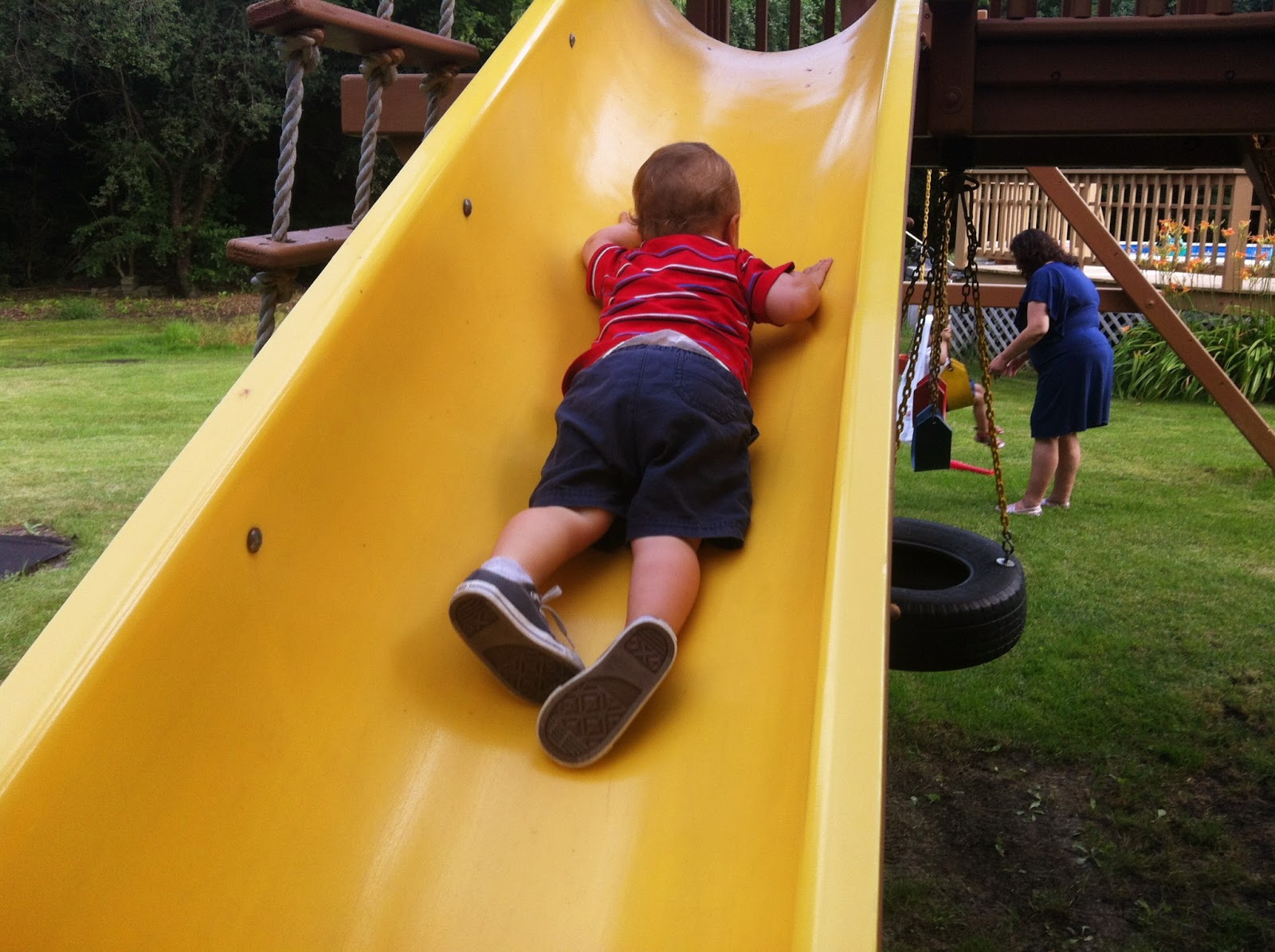 Cedars and Tiny Flowers 7 Quick Takes