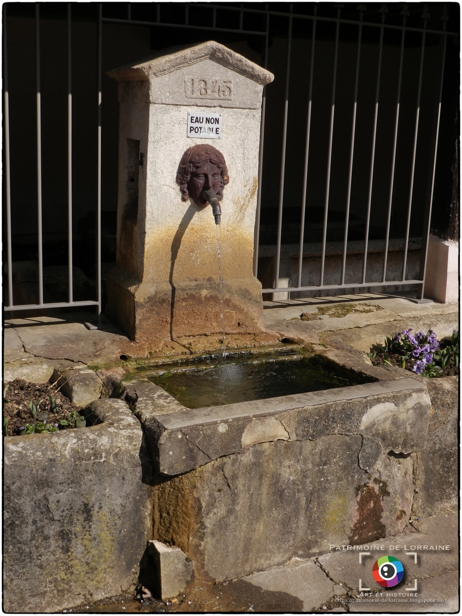PATRIMOINE DE LORRAINE MANONCOURTENVERMOIS (54) Lavoirabreuvoir