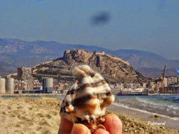 Alicante