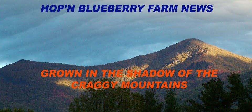 Hop'n Blueberry Farm News