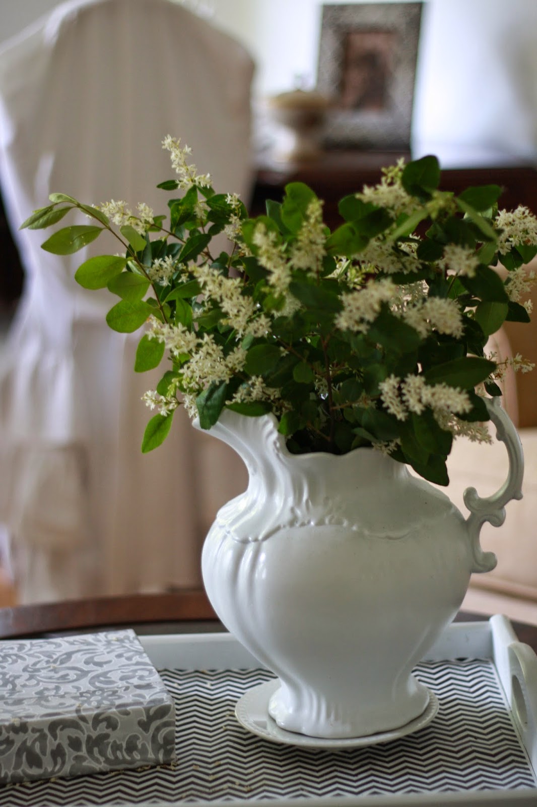The little white cottage in the woods: The Privet flower...