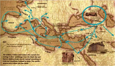 Dispersal of wine-making from Georgia