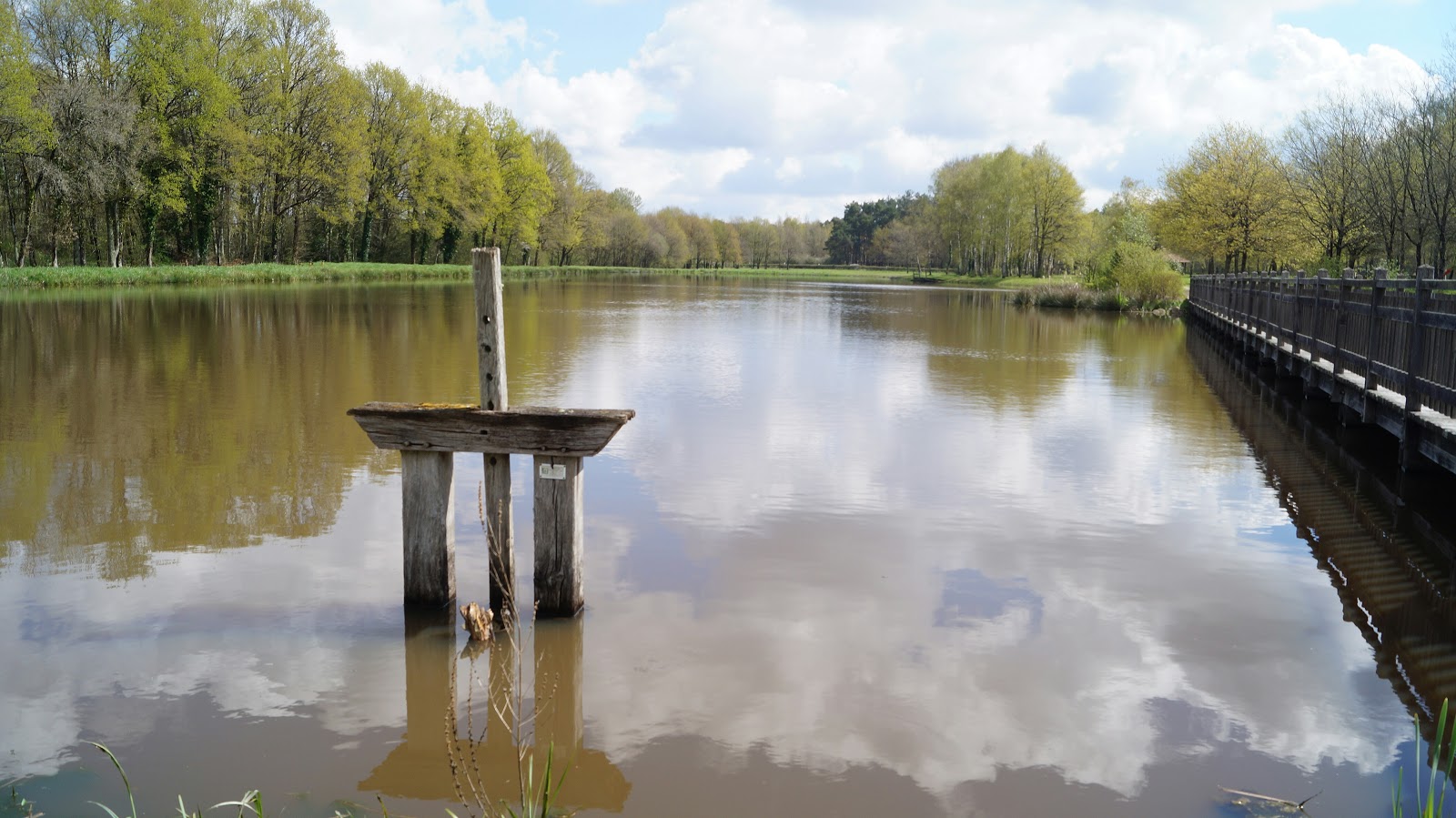 ID2 Rando 45, Ménestreau en Villette, Etangs et forêt de Sologne 6,1km