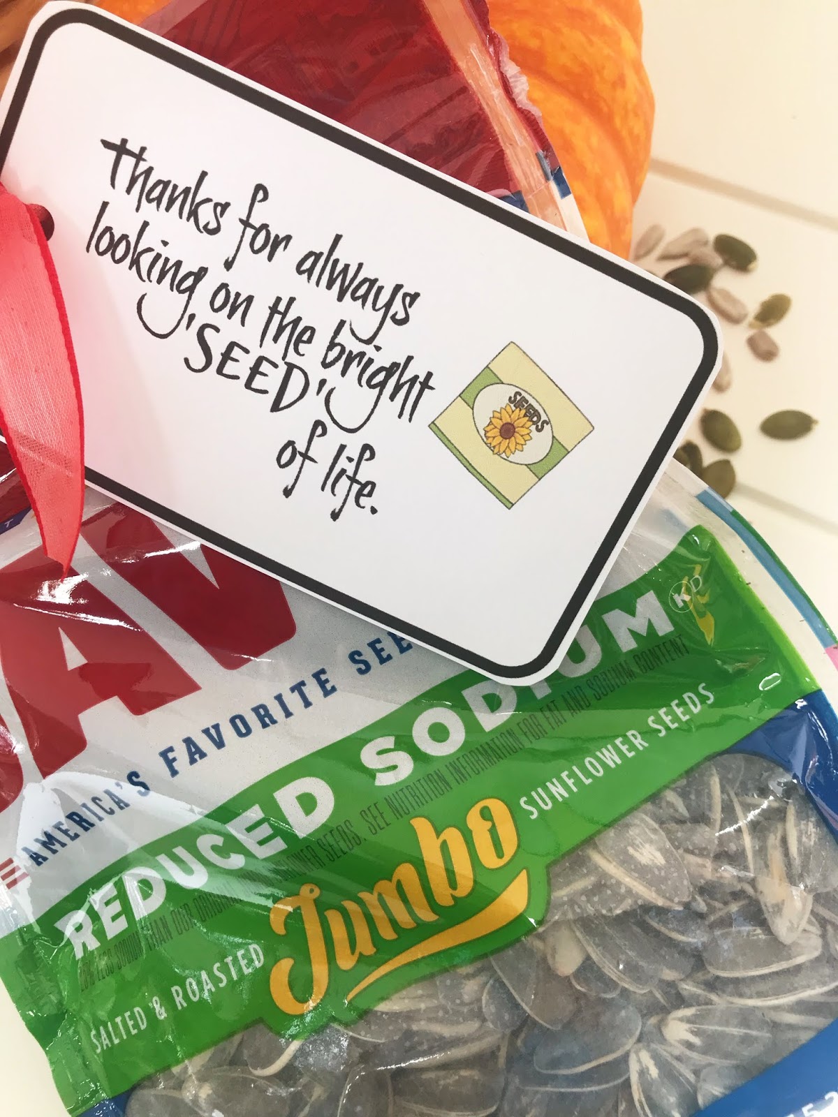 michelle paige blogs Seed Puns with Printable Tags for Gift Giving