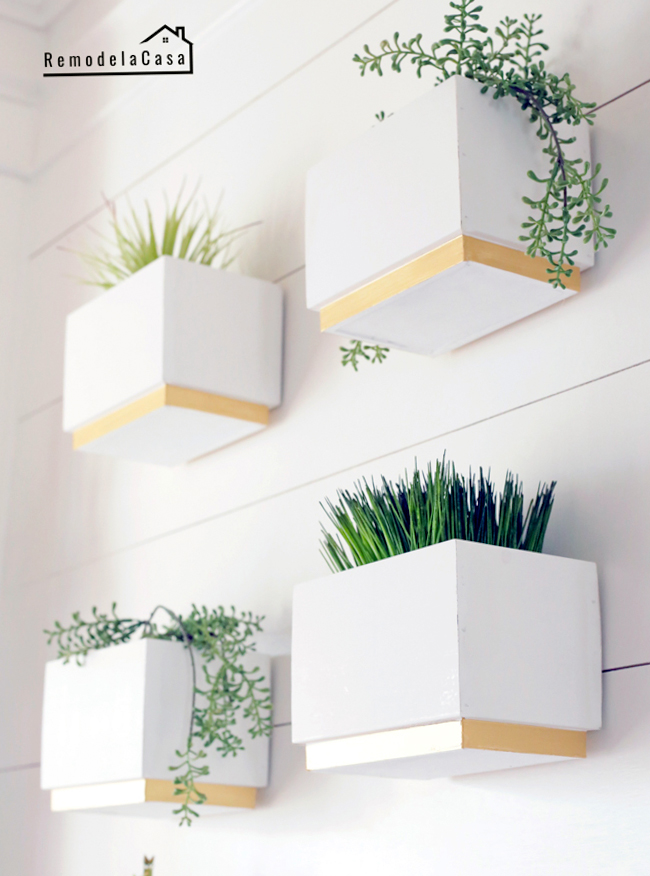 white and gold planters gallery wall