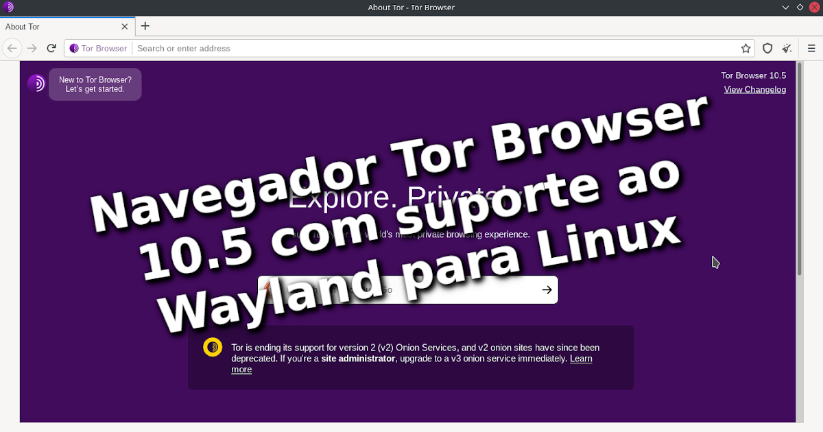 Tor browser v2 hydra pin roller