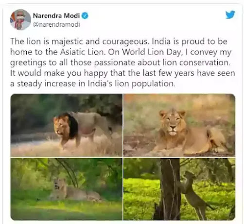 प्रधानमंत्री श्री नरेन्द्र मोदी ने विश्व शेर दिवस पर शेरों के संरक्षण के लिये जुनूनी सभी लोगों को बधाई दी