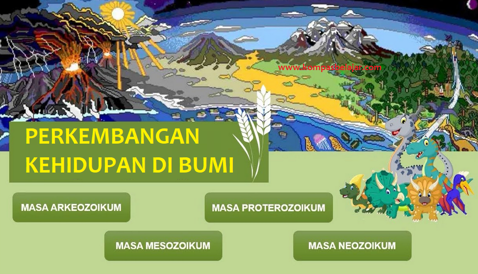 Makhluk hidup pertama yang muncul di bumi adalah makhluk bersel satu seperti mikroorganisme