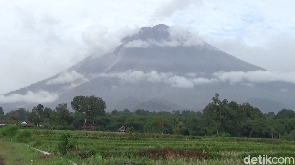Gunung Semeru Semburkan Awan Panas, Probolinggo Diguyur Hujan Abu