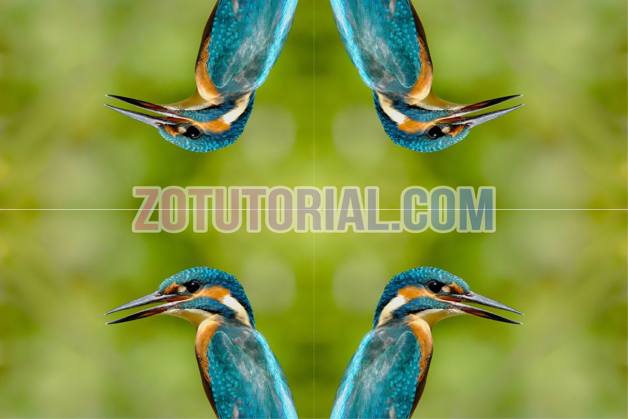 4 Cara Membalikan Gambar di Photoshop (Flip atau Mirror) - zotutorial