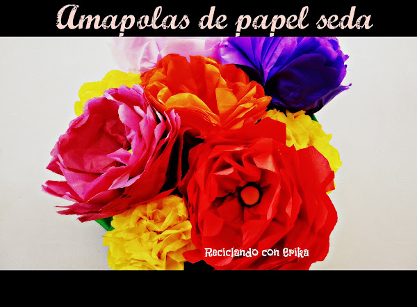 Imagen 0