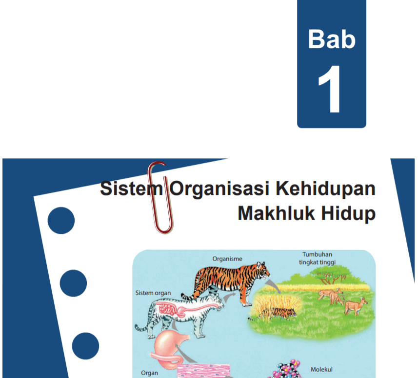 Materi IPA SMP/MTs Kelas 7 Semester Genap Kurikulum 2013