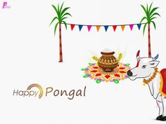 happy pongal