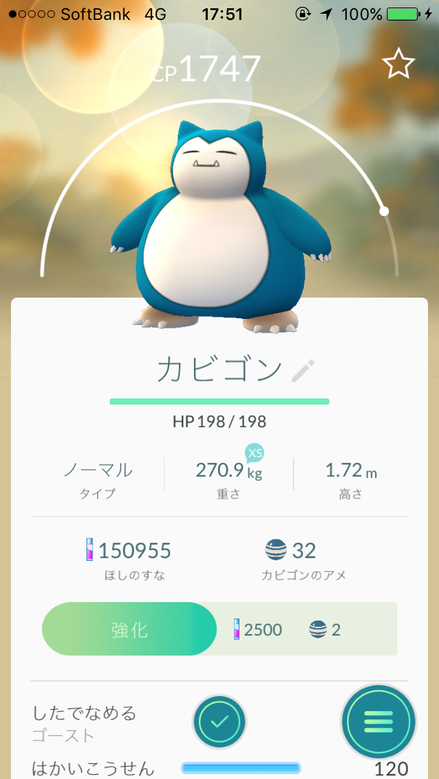 ポケモンgoで遊びながらダイエットはできるのか ハクリュー ﾎｶｸ ポケモンgoダイエット 骨折編８日目 東京ディズニーシー