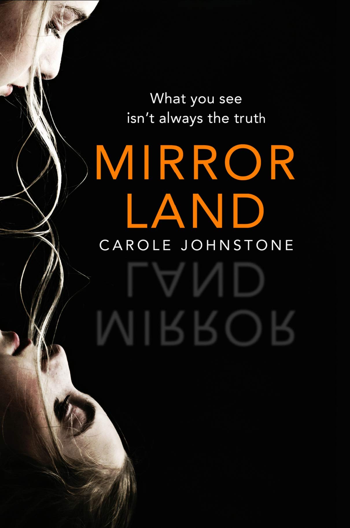The Book Mirrorland Carole Johnstone