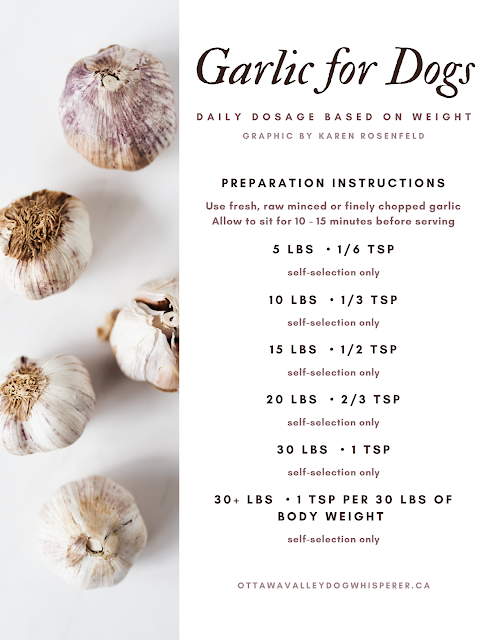 Garlic for dogs, daily dosage based on body weight