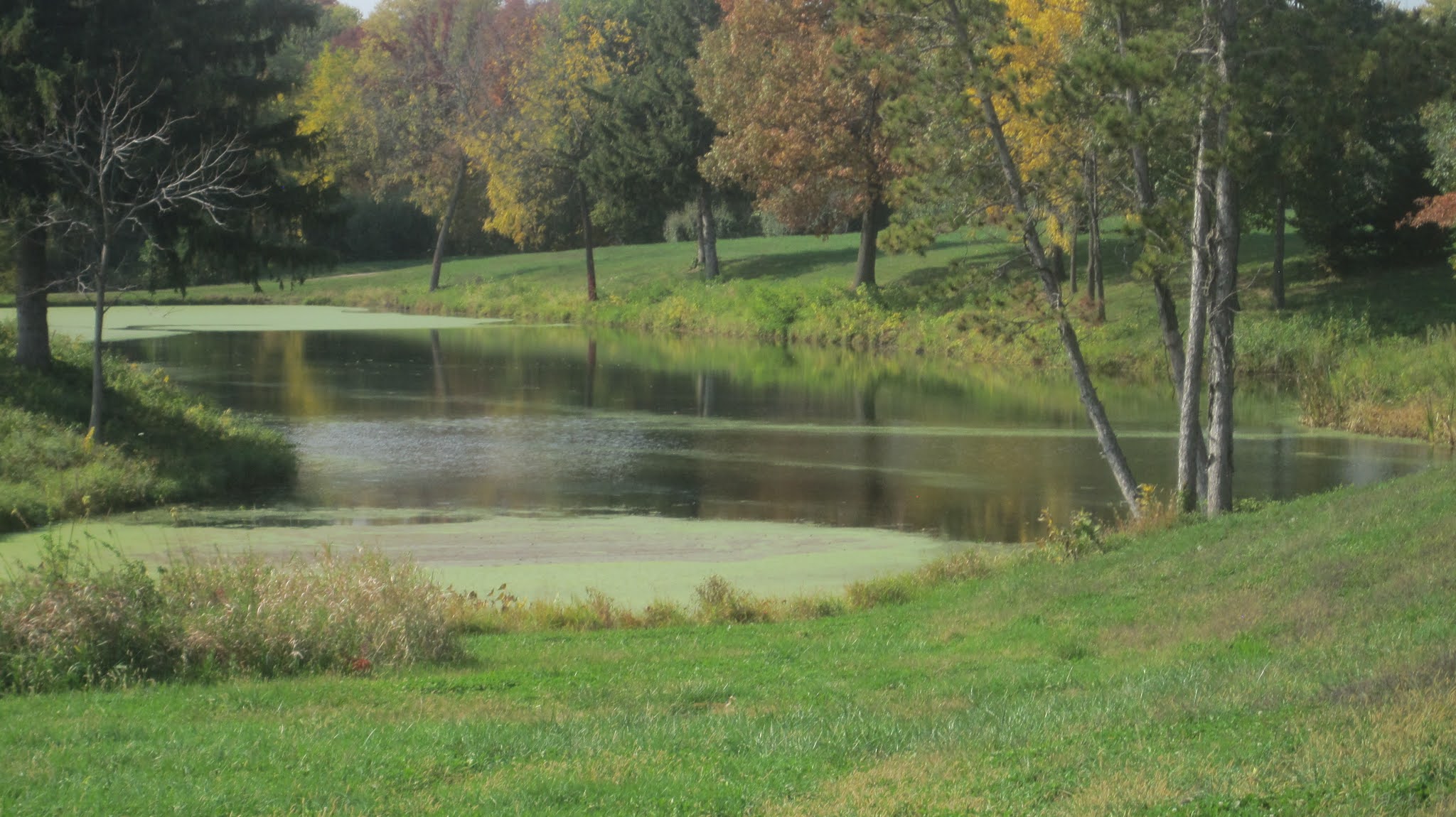 Rita's Sew Fun Stone's Apple Orchard