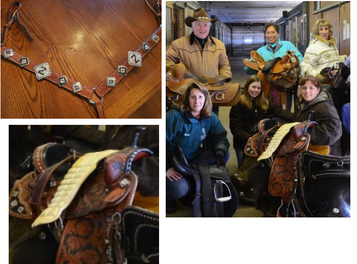 North Horse OMFG Craigslist, Saddle Thieves, 12 Free Starving Horses