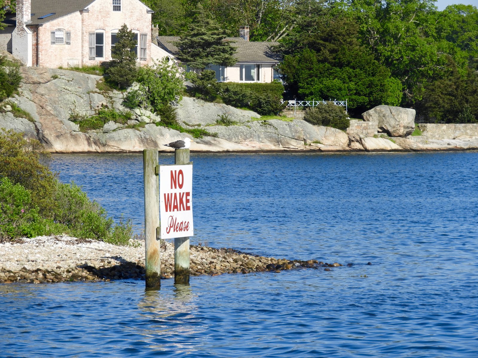 It's All About Purple Sail Away Argia
