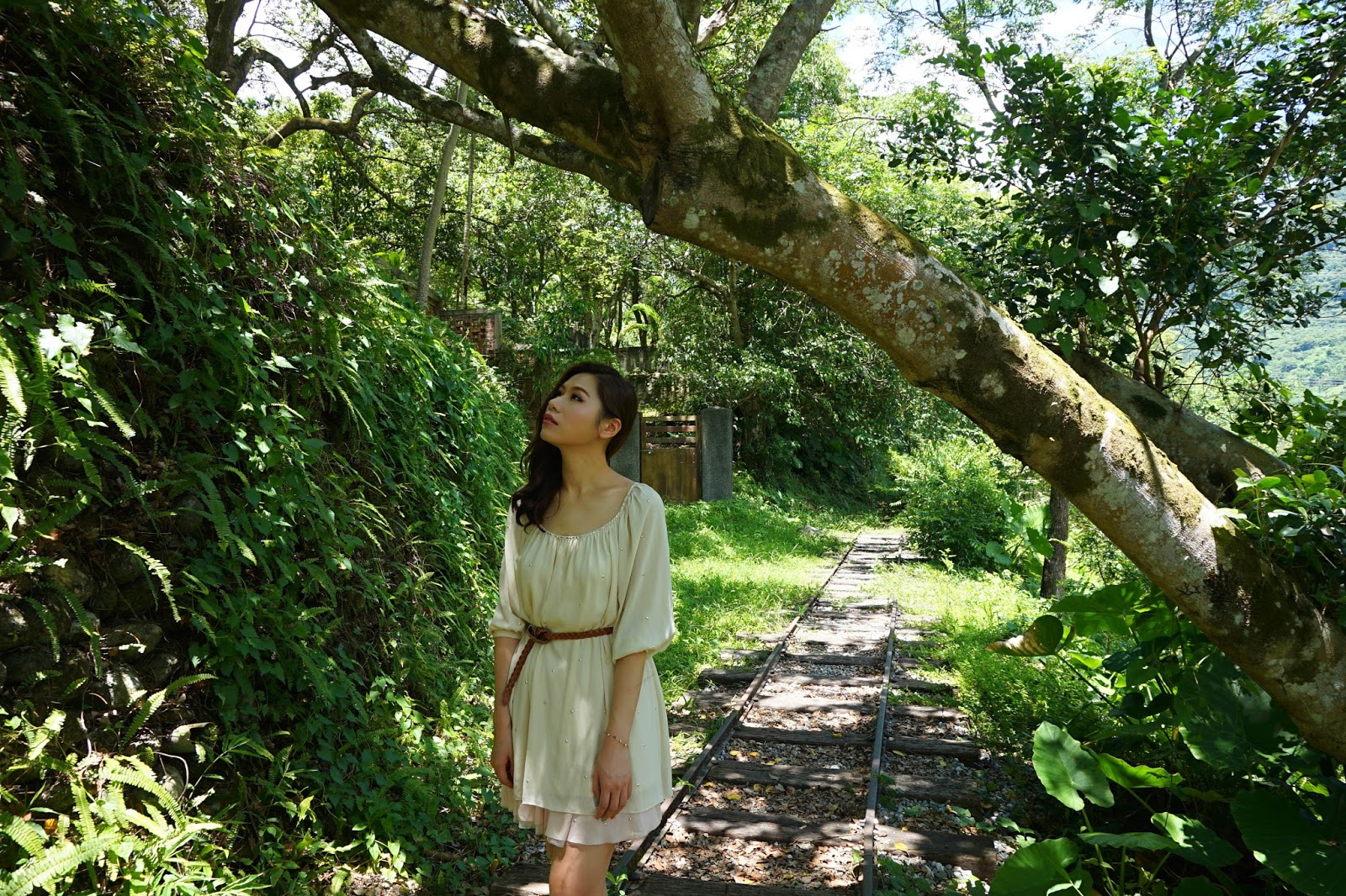 6-beautyanxiety.com-Hualien%2BTravel-Cultural%2BPark%2BForest-IMG_1362-beautyanxiety