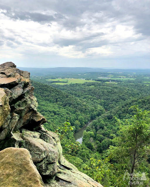 If you and your family would like to experience part of the Appalachian Trail that runs through Pennsylvania, then be sure to make the 30 minute drive from Hershey to Duncannon to hike the Hawk Rock trail.
