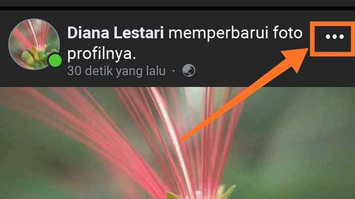 Kenapa tidak bisa mengganti foto profil di facebook?