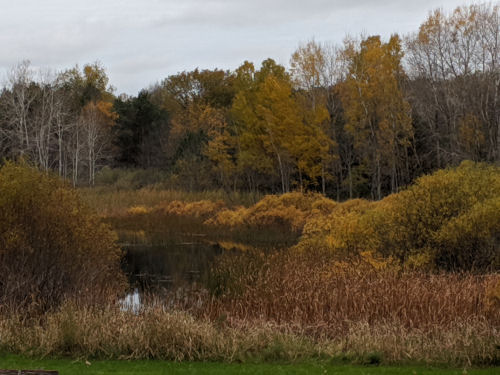 autumn color