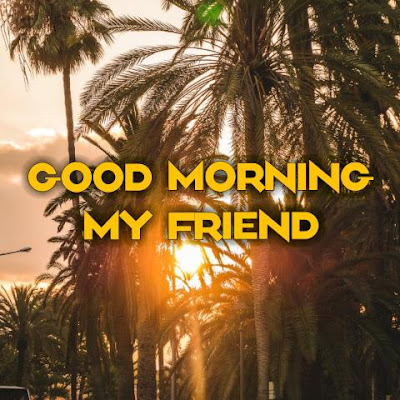 good morning my friend pictures images and photos good morning my friend pictures images and photos