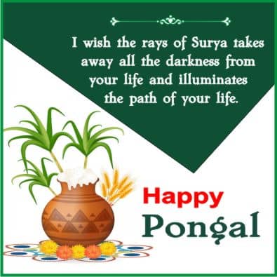 pongal wishes in english