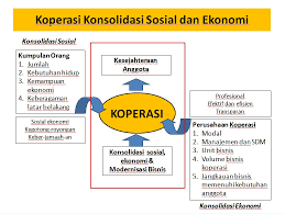 Pola Menejemen Koperasi Vermita S