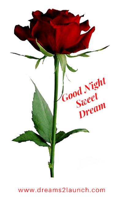 good night rose image