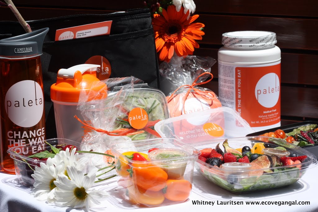 Paleta Organic, Sustainable Meal Delivery in LA The Ultimate Way to