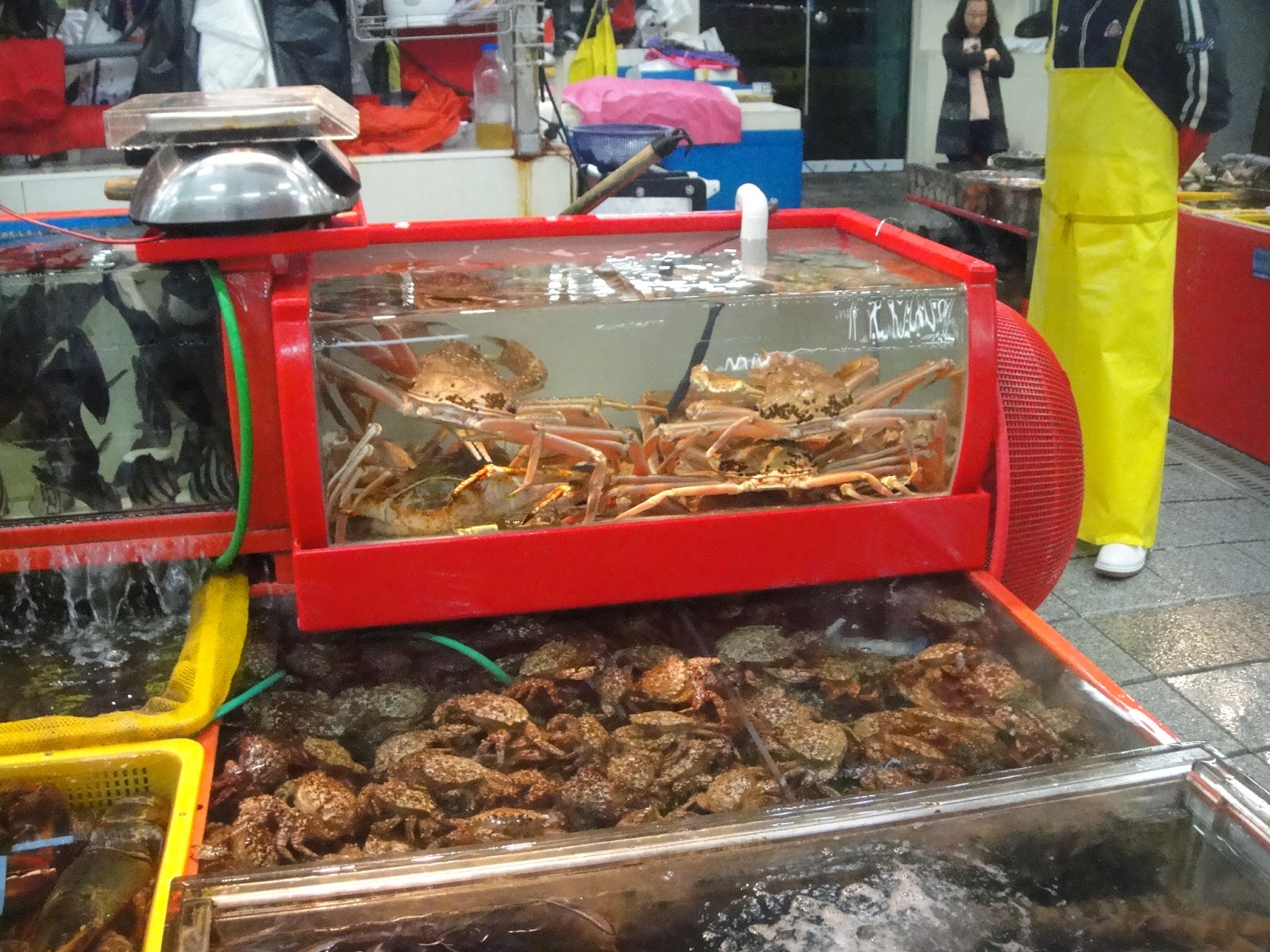 KAK KIAH SUKA TRAVEL BUSANJEJU DAY 3 JAGALCHI MARKET