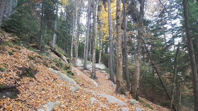 Sentier Les Escarpements