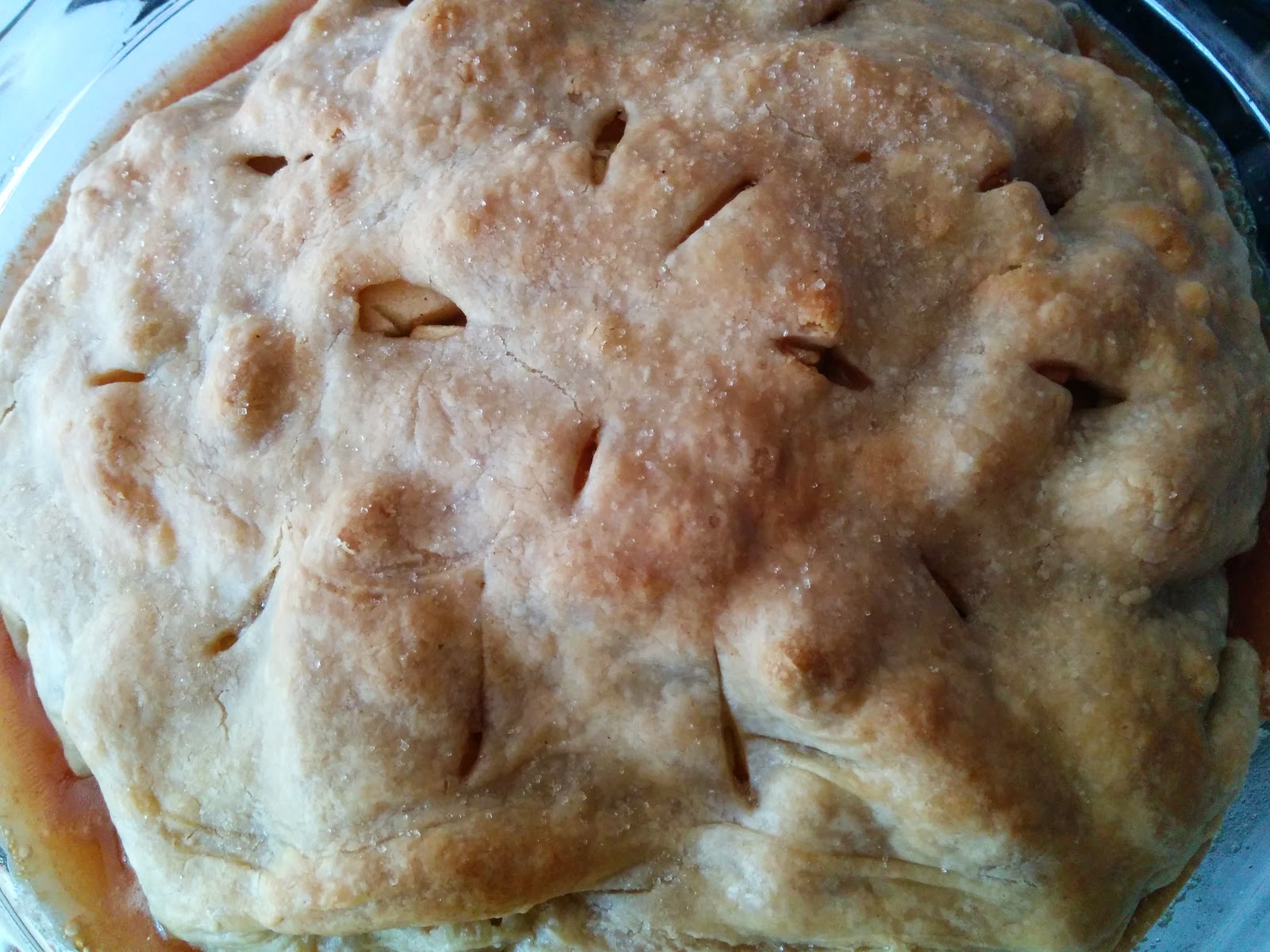 WholeFoodVegan Gala Apple Pie