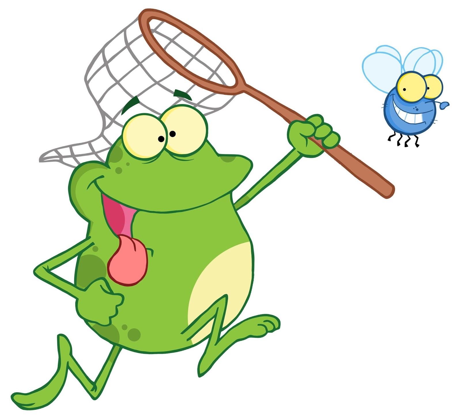Frosch Fliege Frosch Fliege