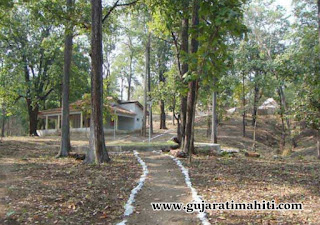 vansada-national-park-janki-van-gujarat-GUJARATIMAHITI