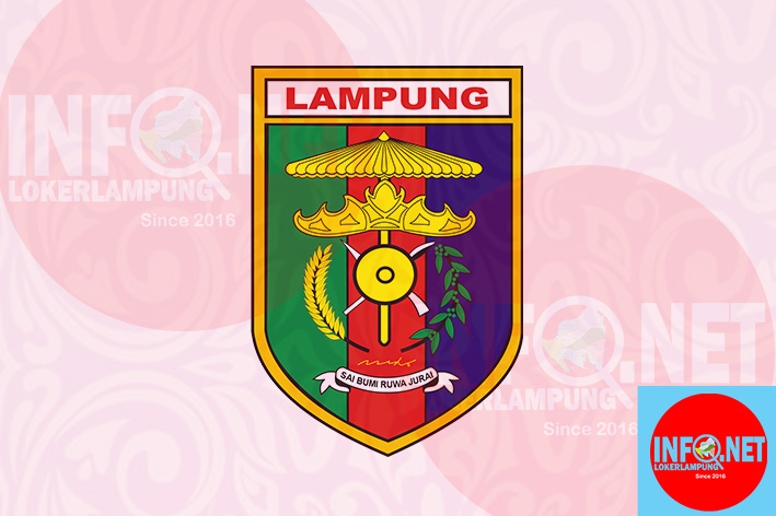Penetapan Formasi Cpns Dan Pppk Provinsi Lampung Tahun 2021 Loker Lampung Terbaru 2021 Infolokerlampung Net